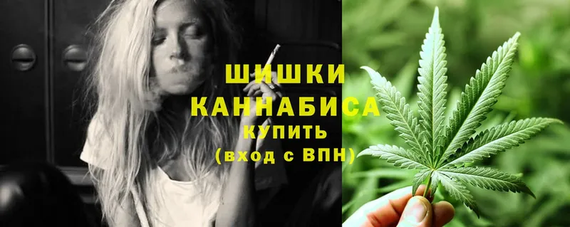 где можно купить наркотик  Подпорожье  Шишки марихуана SATIVA & INDICA 